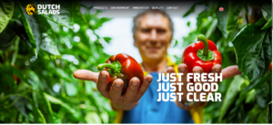 Divi Responsive Design Fixes for Dutch Salads